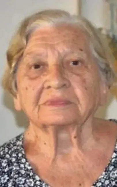 Vesna Jakić Cestarić