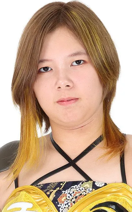 Ai Houzan