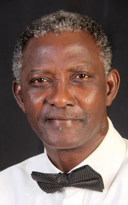 Ayo Lijadu