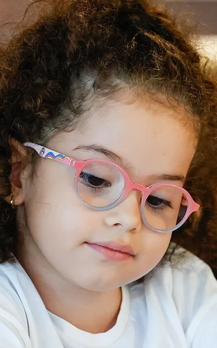 Yade Arayıcı