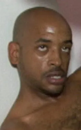 Romeo Gemini