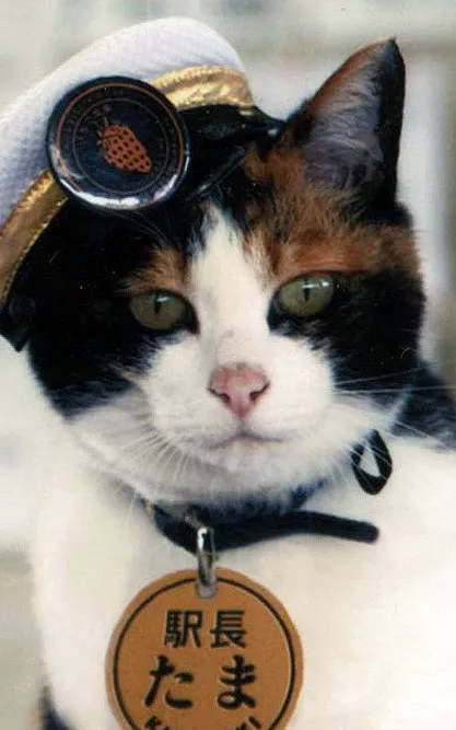 Tama