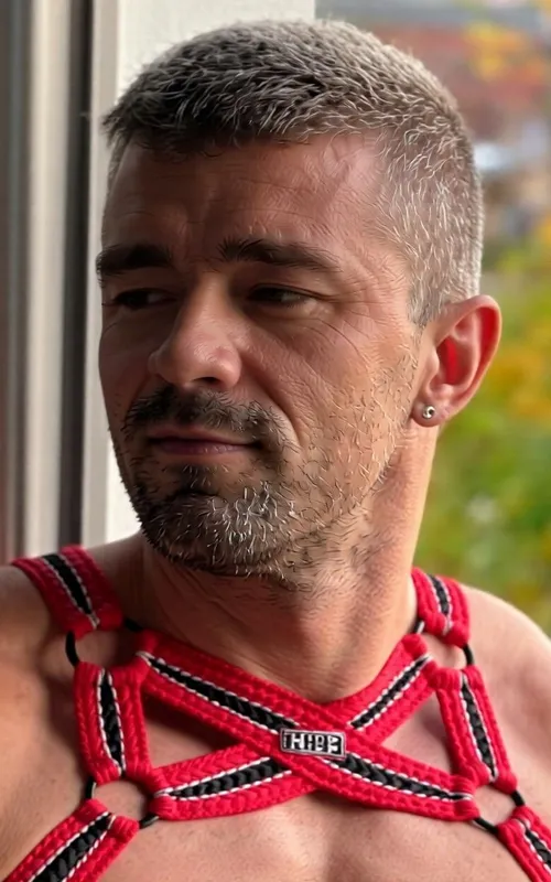 Matt Polaco