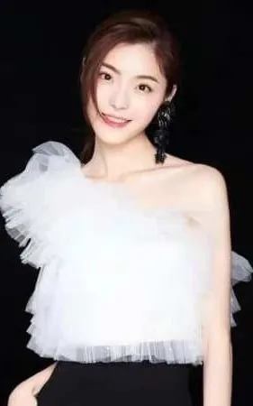 Li Zheng Yan Qi