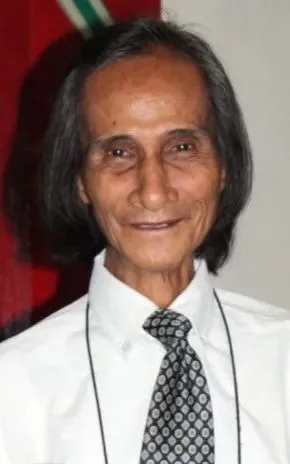 Palito