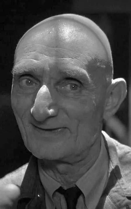 Harry Bugin