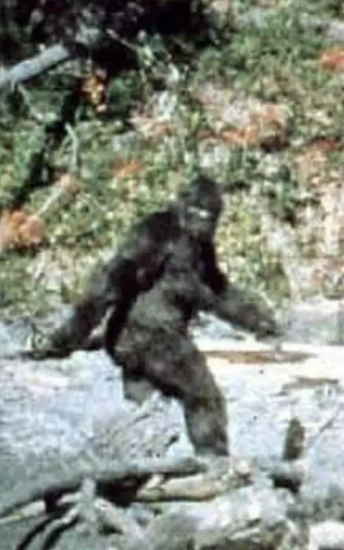 Bigfoot