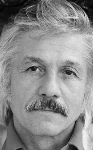 Mihai Volontir