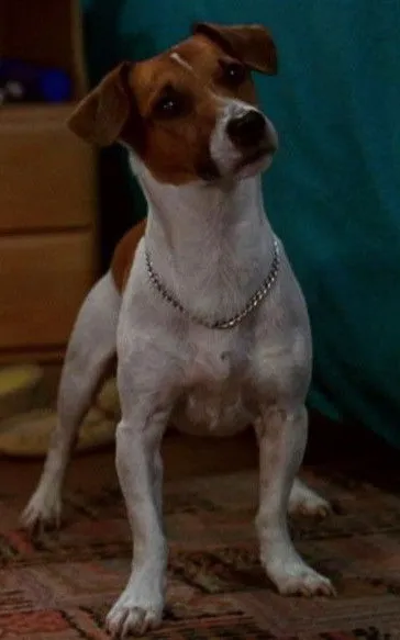 Max