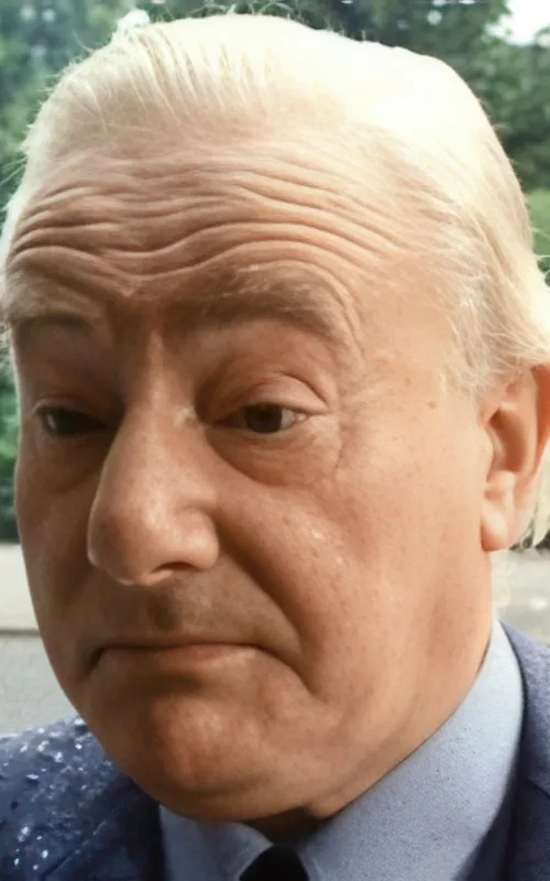 Wim van den Brink