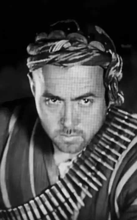 R. Akbashev