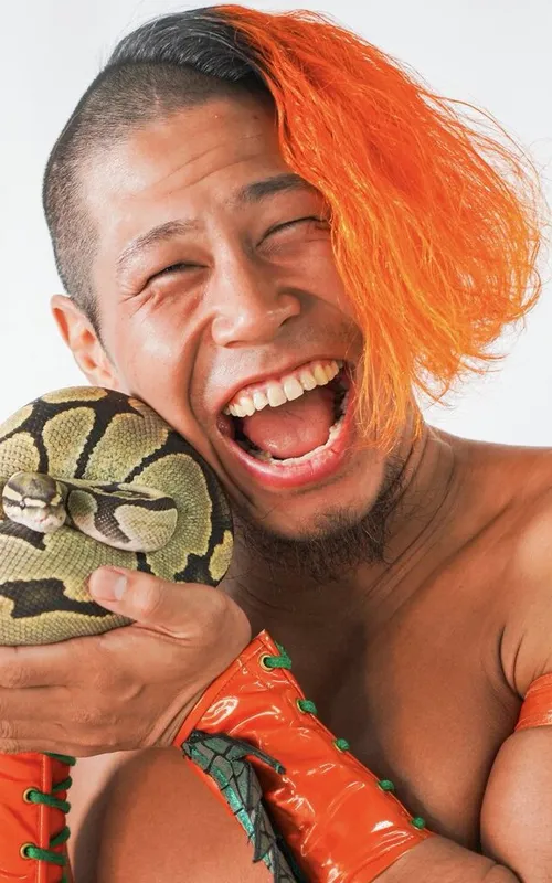 Kota Sekifuda