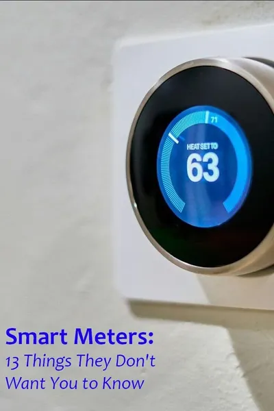 Smart Meters: 13 Things They Don't Want You to Know