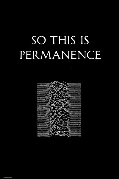 Peter Hook & The Light: So This Is Permanent