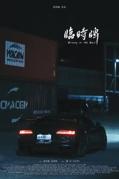 Driving in the Dark