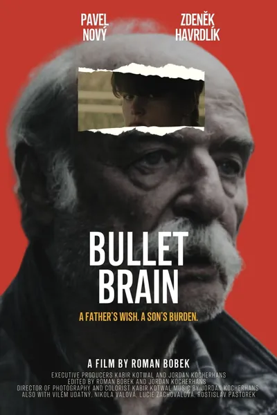 Bullet Brain