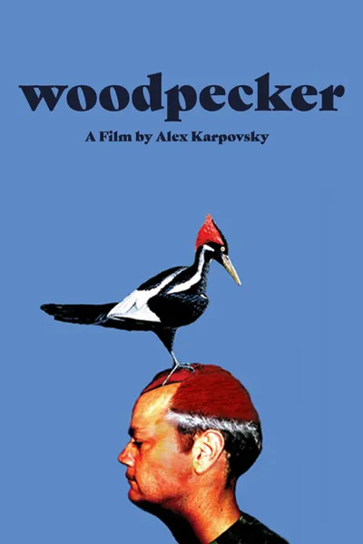 Woodpecker