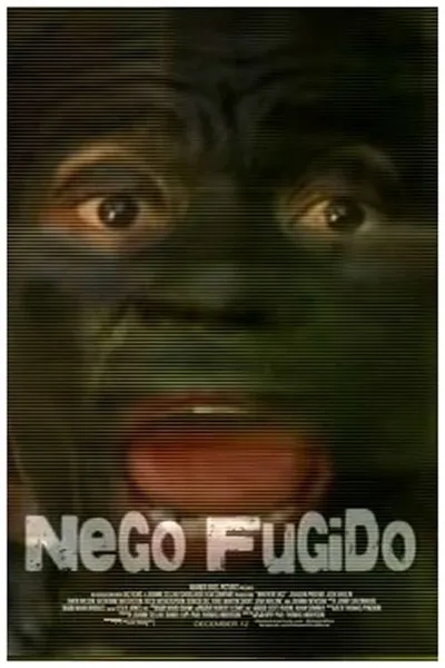 Nego Fugido