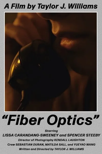 Fiber Optics