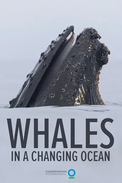 Whales in a Changing Ocean