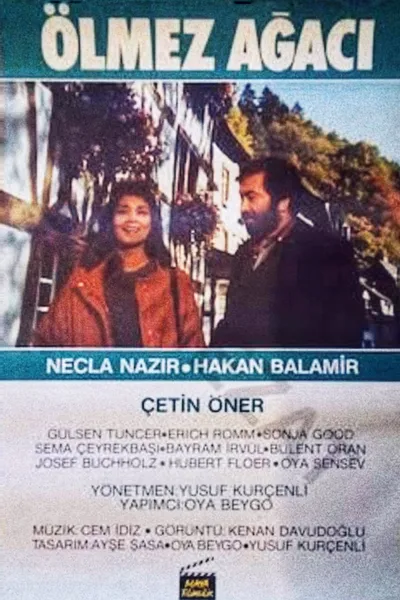 Ölmez Ağacı