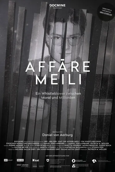 Die Affäre Meili