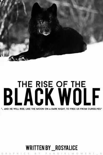 The Rise of Black Wolf