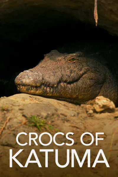 Crocs of Katuma