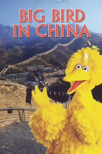 Big Bird in China