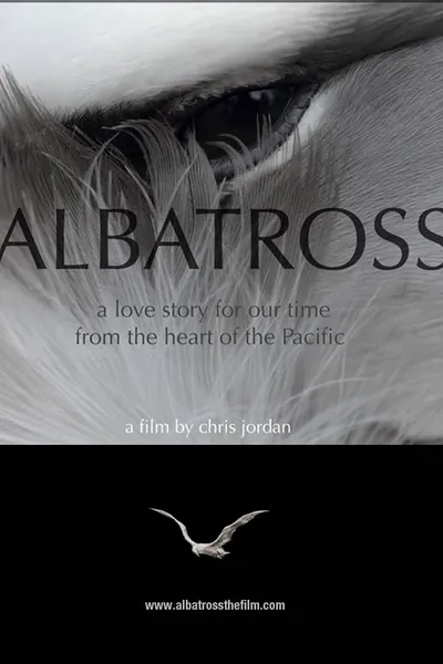 Albatross