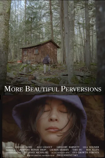 More Beautiful Perversions