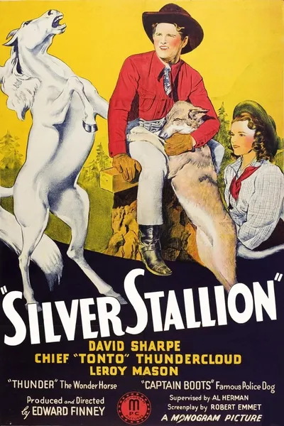 Silver Stallion