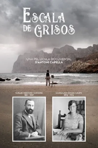 Escala de grisos