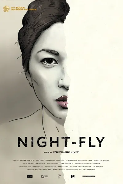 Night-Fly