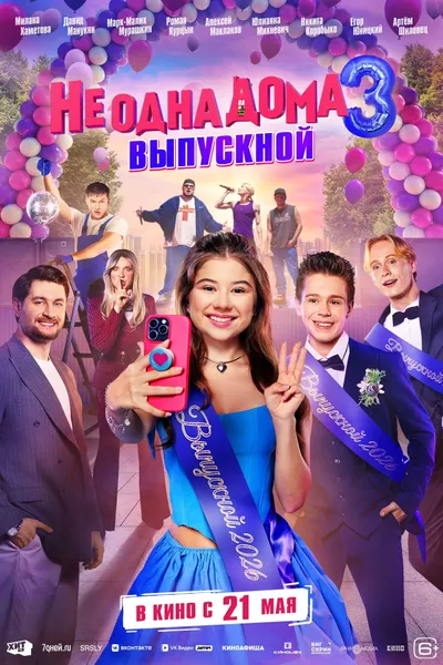 Home Not Alone 3
