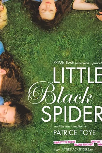 Little Black Spiders