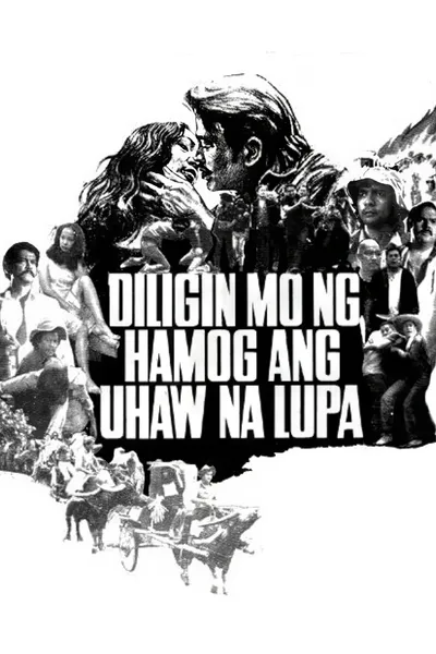 Diligin mo ng Hamog ang Uhaw na Lupa