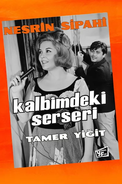 Kalbimdeki Serseri