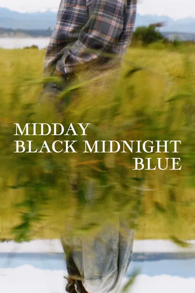 Midday Black Midnight Blue