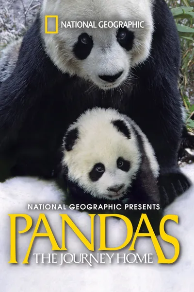 Pandas: The Journey Home