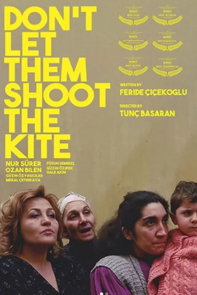 Don't Let Them Shoot the Kite