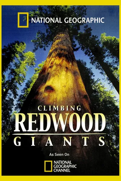 Climbing Redwood Giants