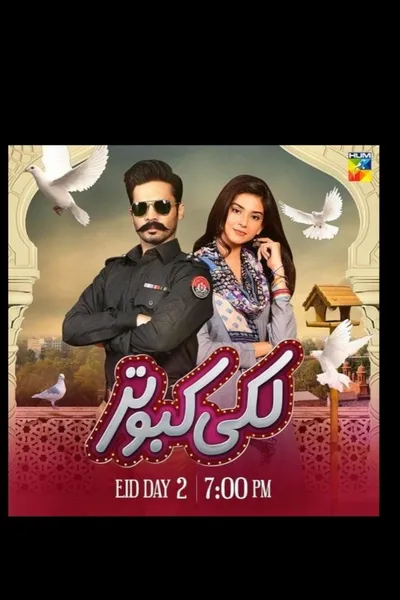 Lucky kabootar