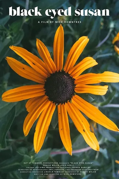 Black Eyed Susan