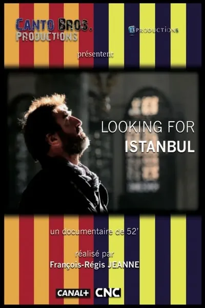 Looking for Istanbul