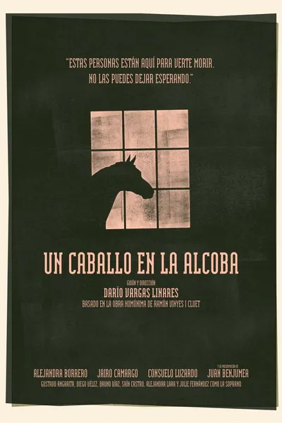 Un caballo en la alcoba