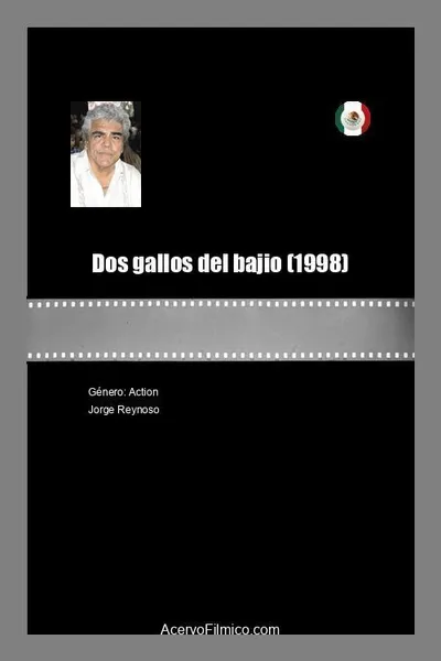 Dos gallos del bajio