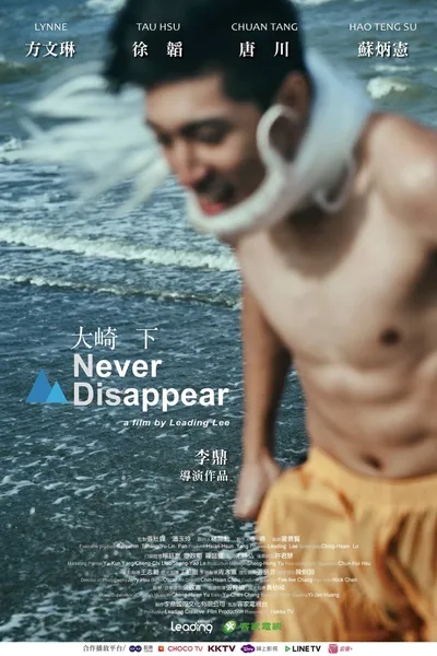 Never Disappear