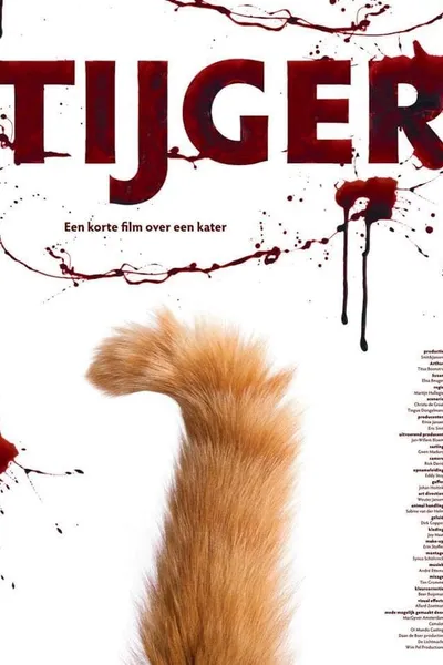 Tijger