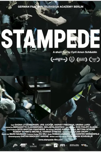 Stampede